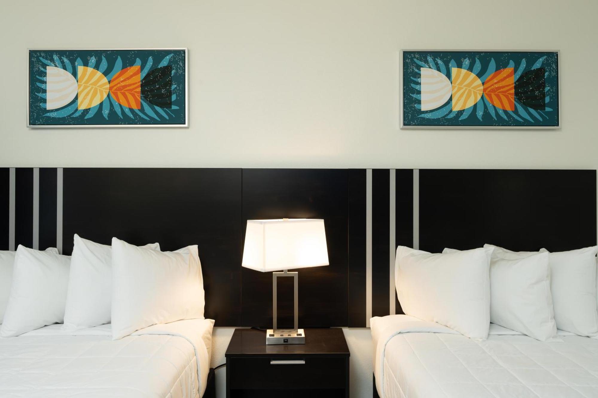 Oasis Bay Suites, Tampa, Busch Gardens, Usf Buitenkant foto