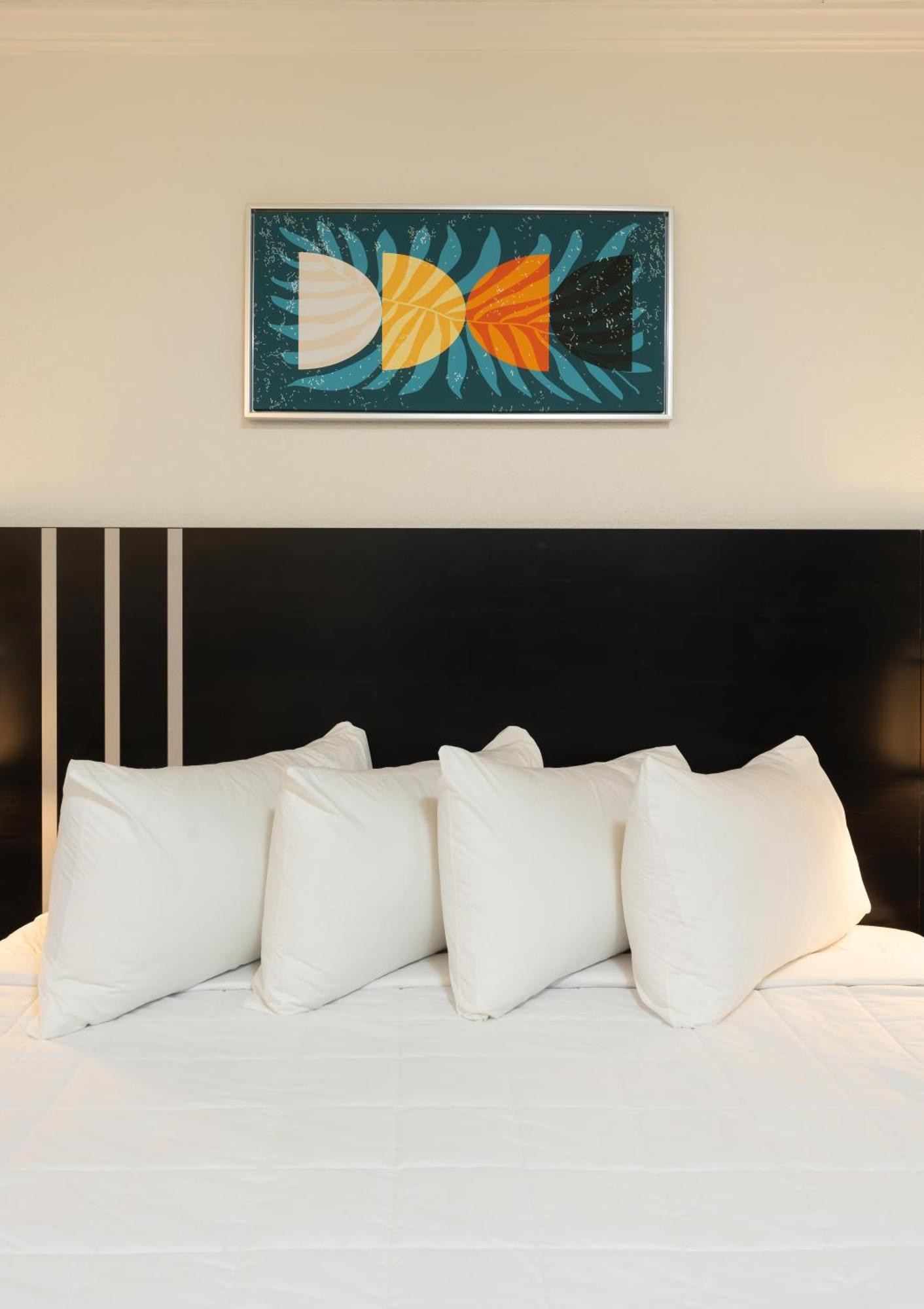 Oasis Bay Suites, Tampa, Busch Gardens, Usf Buitenkant foto