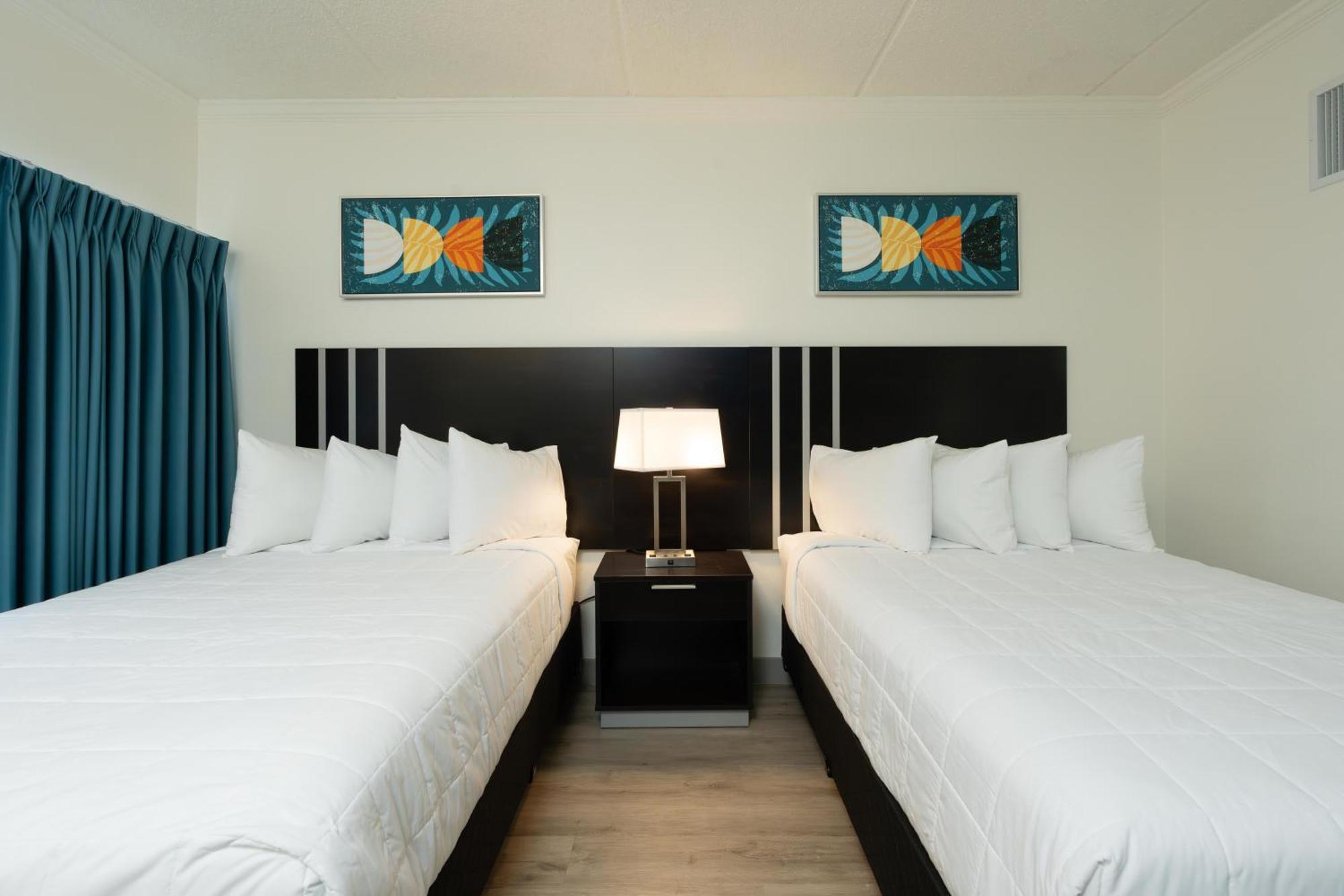 Oasis Bay Suites, Tampa, Busch Gardens, Usf Buitenkant foto