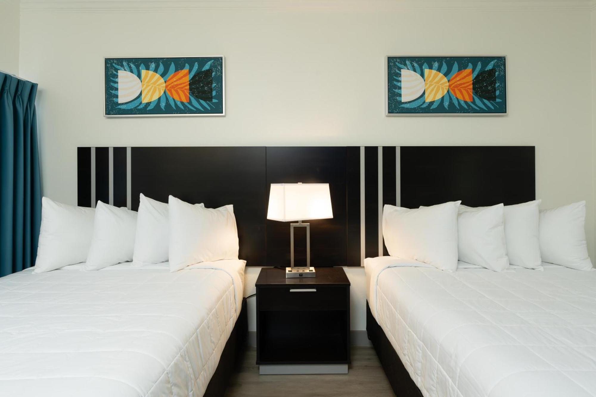 Oasis Bay Suites, Tampa, Busch Gardens, Usf Buitenkant foto