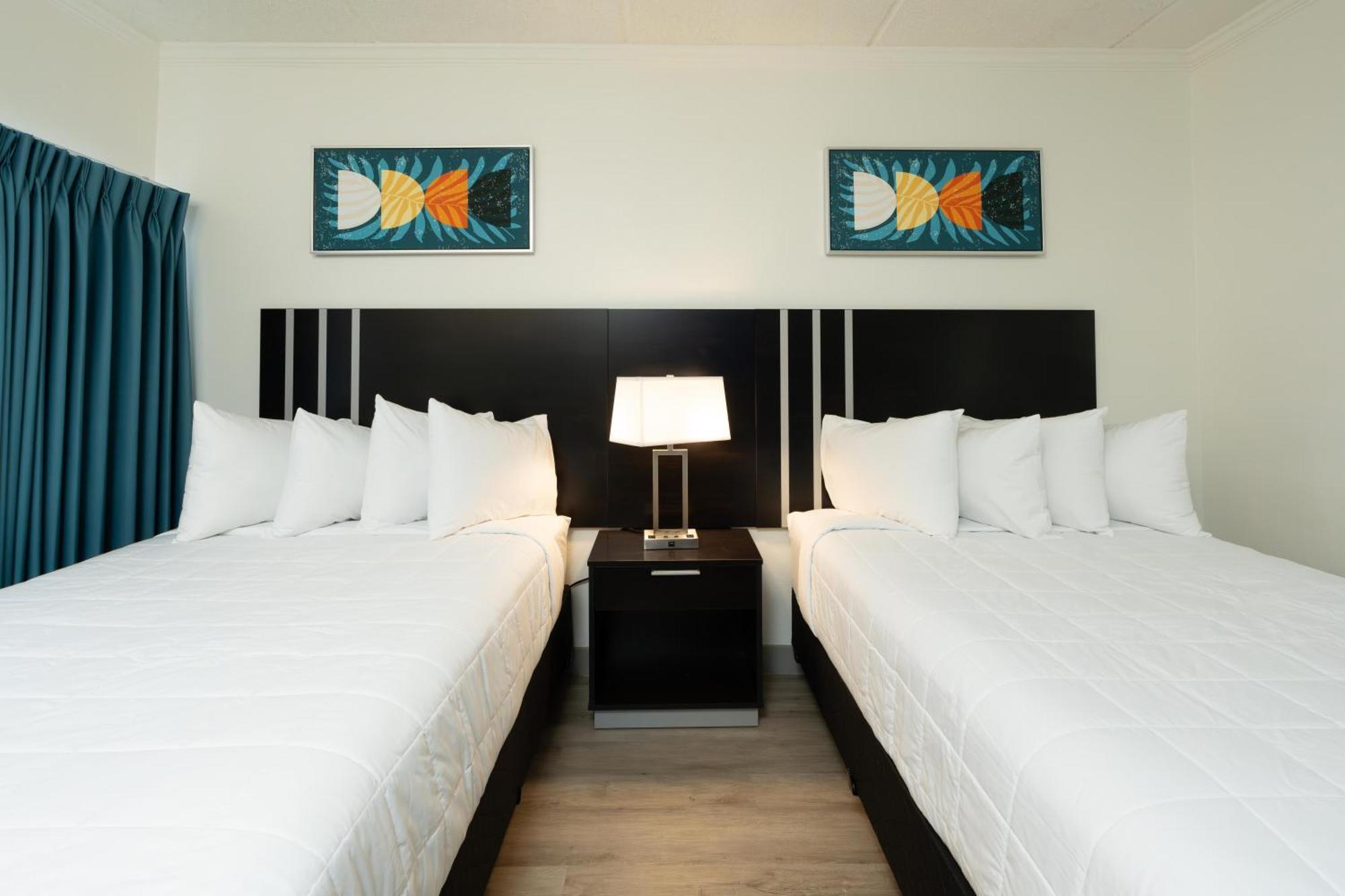 Oasis Bay Suites, Tampa, Busch Gardens, Usf Buitenkant foto