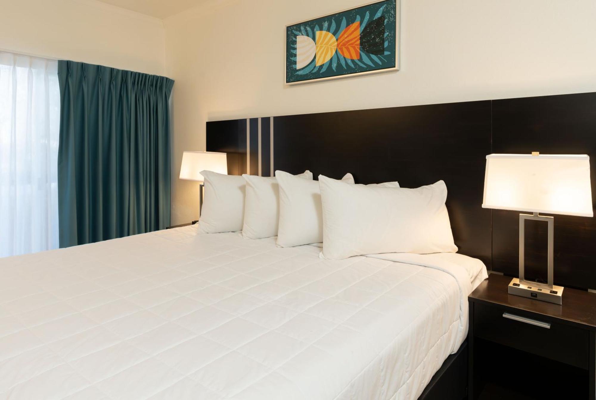 Oasis Bay Suites, Tampa, Busch Gardens, Usf Buitenkant foto