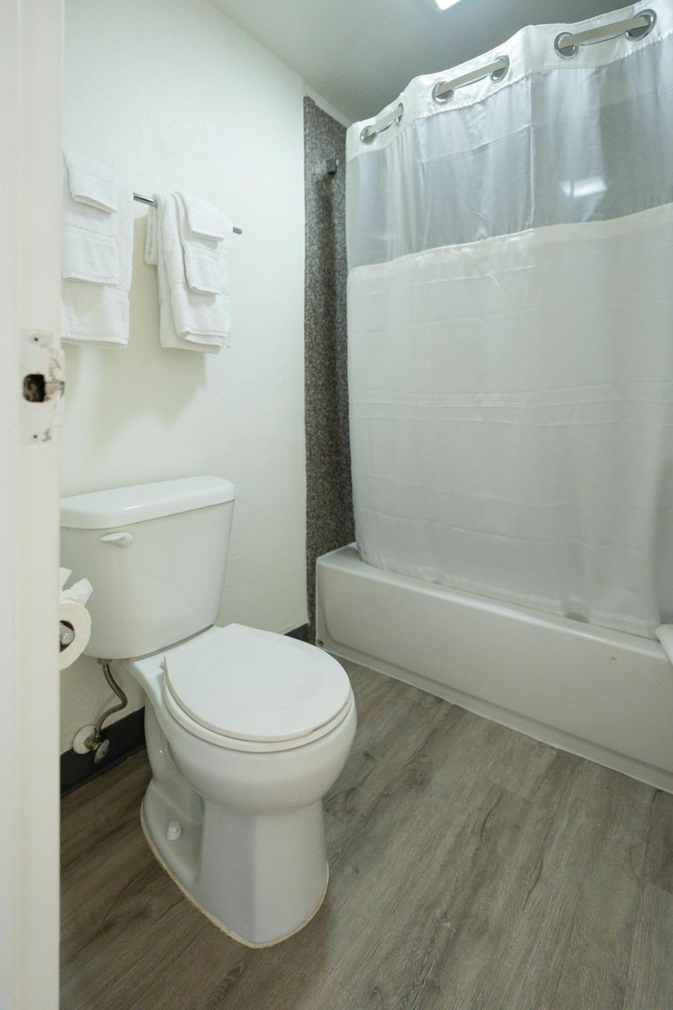 Oasis Bay Suites, Tampa, Busch Gardens, Usf Buitenkant foto