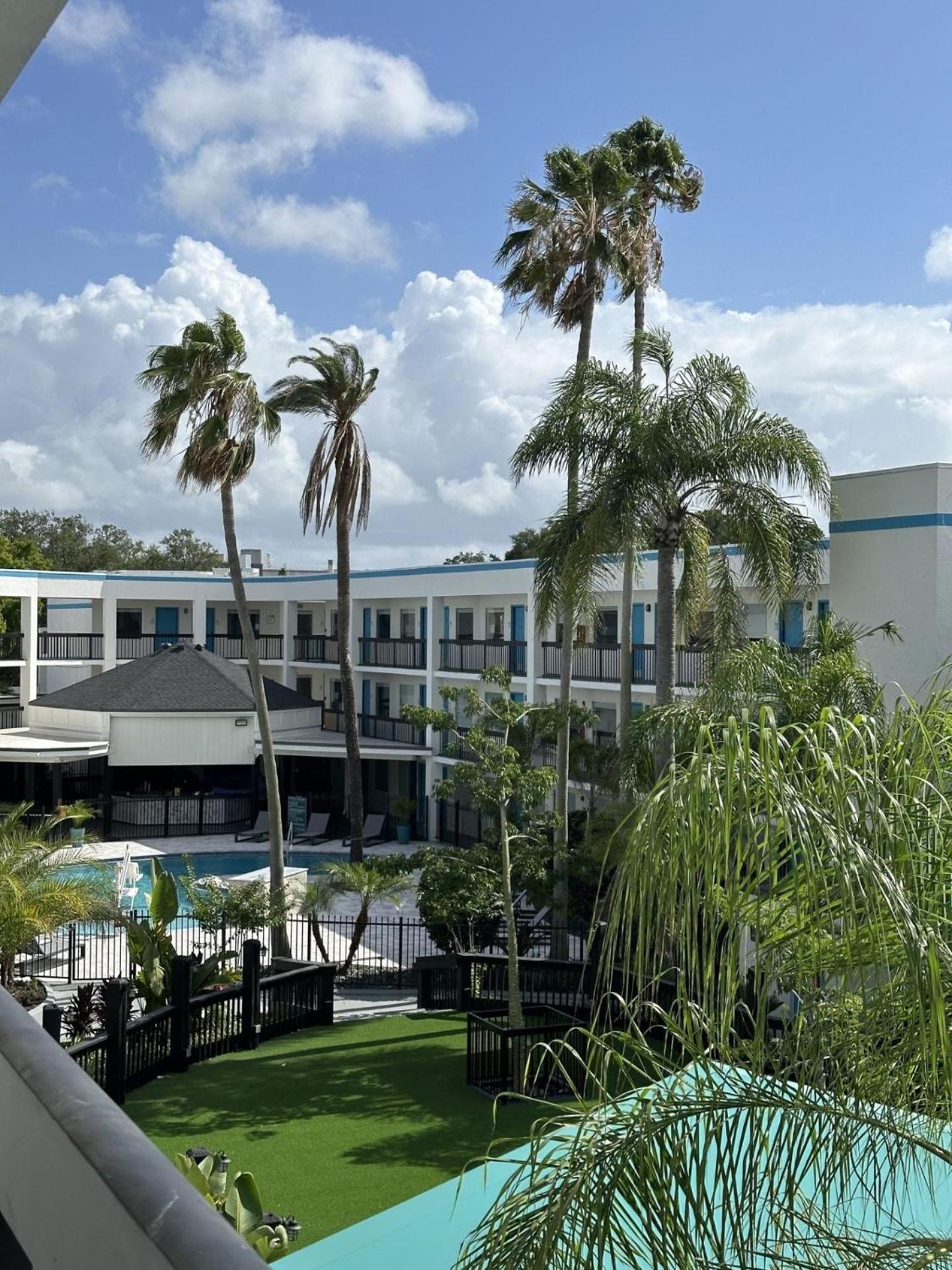 Oasis Bay Suites, Tampa, Busch Gardens, Usf Buitenkant foto